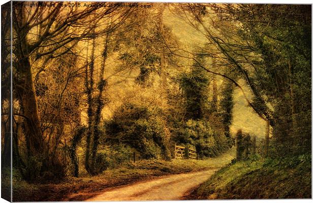 Hunny Road, Edgefield 4a Canvas Print by Julie Coe