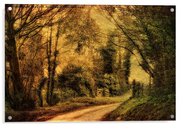 Hunny Road, Edgefield 4a Acrylic by Julie Coe