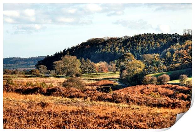  Autumn in Hutton-Le-Hole Print by Sarah Couzens