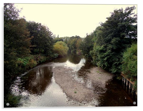  The River Eden running through Carlisle Acrylic by stephen lang