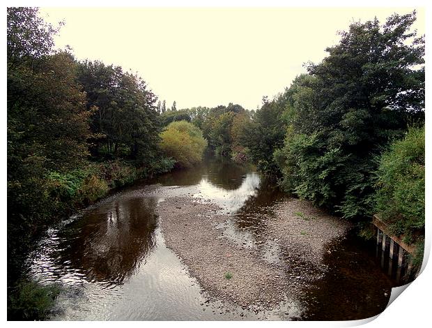  The River Eden running through Carlisle Print by stephen lang
