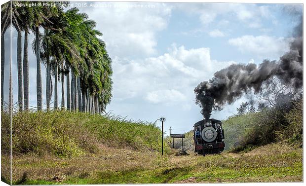  Steam Train and the Royal Palm Trees in Cuba Canvas Print by Philip Pound