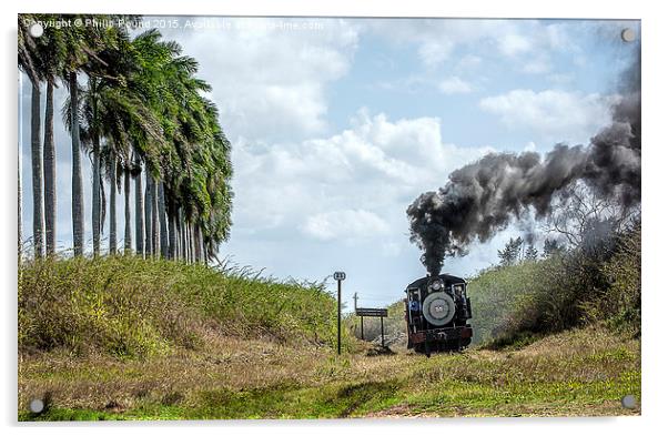  Steam Train and the Royal Palm Trees in Cuba Acrylic by Philip Pound