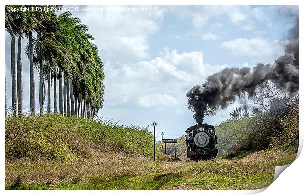  Steam Train and the Royal Palm Trees in Cuba Print by Philip Pound