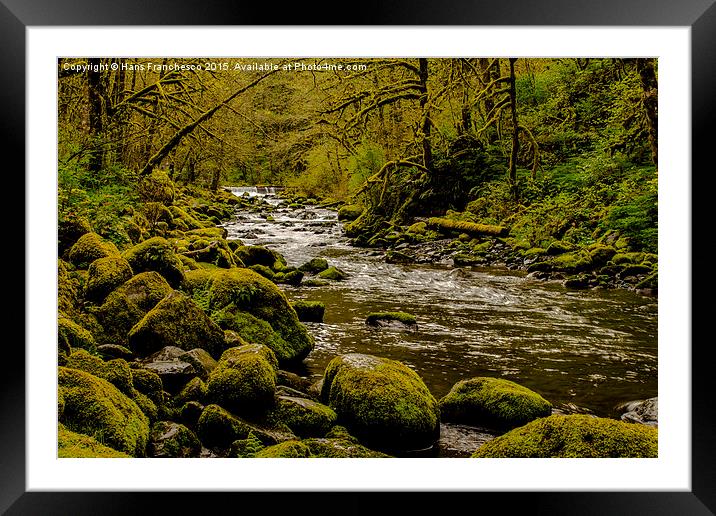  Oregon Rainforest Framed Mounted Print by Hans Franchesco