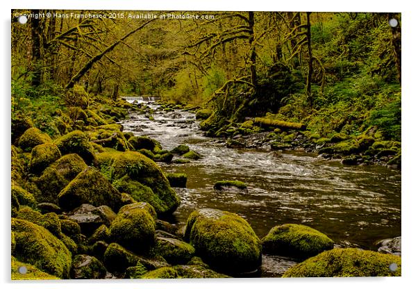  Oregon Rainforest Acrylic by Hans Franchesco