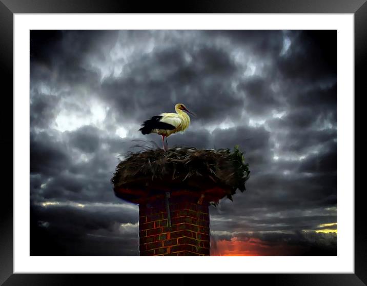  Nesting stork in Germany  Framed Mounted Print by sylvia scotting