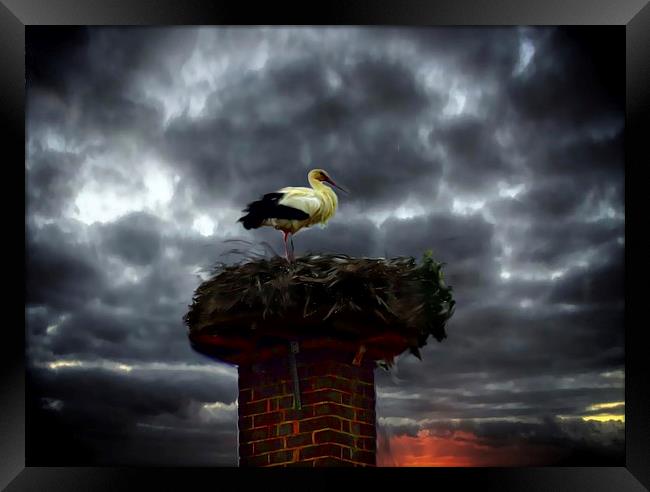  Nesting stork in Germany  Framed Print by sylvia scotting