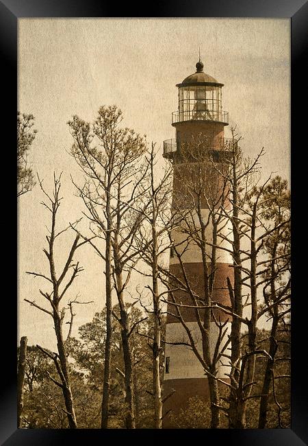  Textured Light House Framed Print by Tom and Dawn Gari
