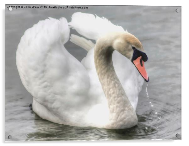 Swan on the Marine Lake Acrylic by John Wain