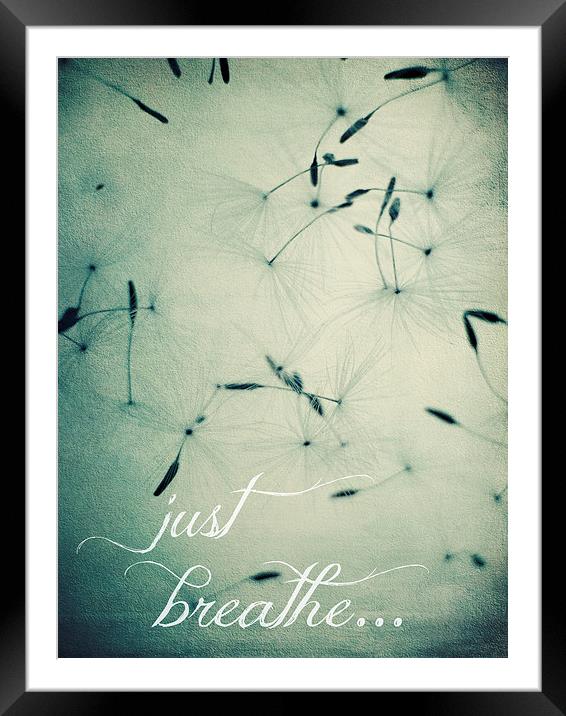  just breathe... Framed Mounted Print by Heather Newton