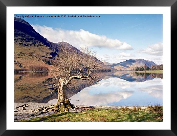  Buttermere Lone Tree Framed Mounted Print by carl barbour canvas
