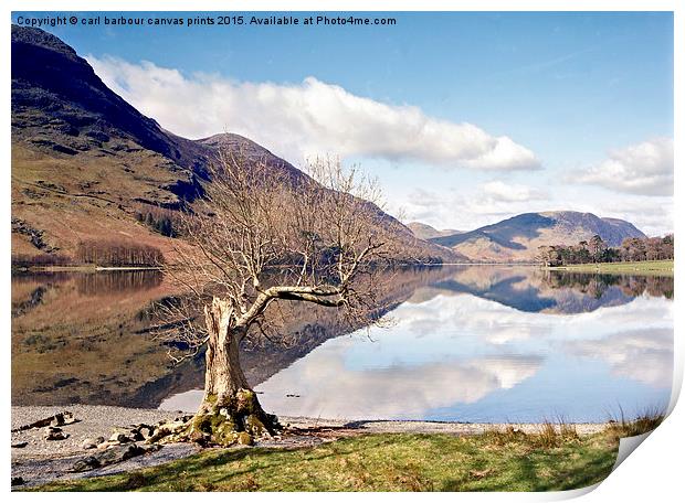  Buttermere Lone Tree Print by carl barbour canvas