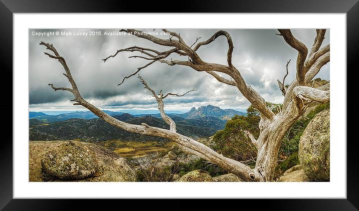 Cresta Valley - Mt Buffalo Framed Mounted Print by Mark Lucey