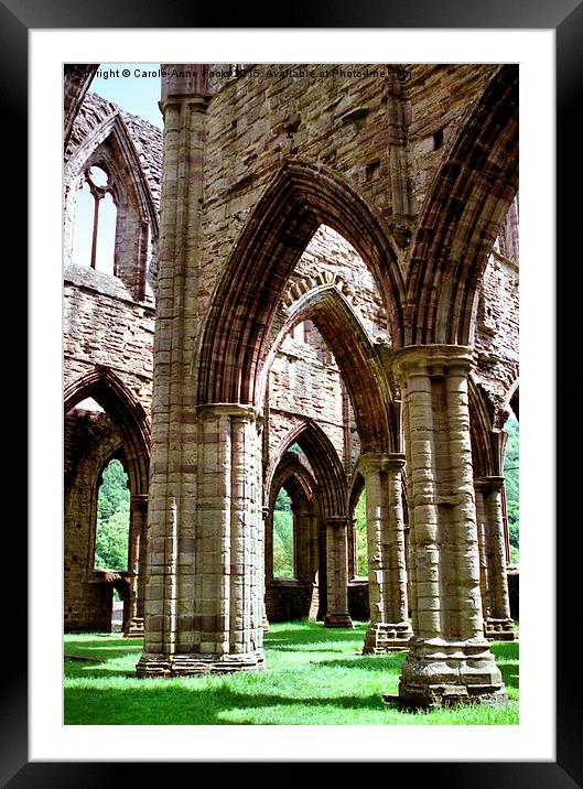  Tintern Abbey Cloisters Framed Mounted Print by Carole-Anne Fooks