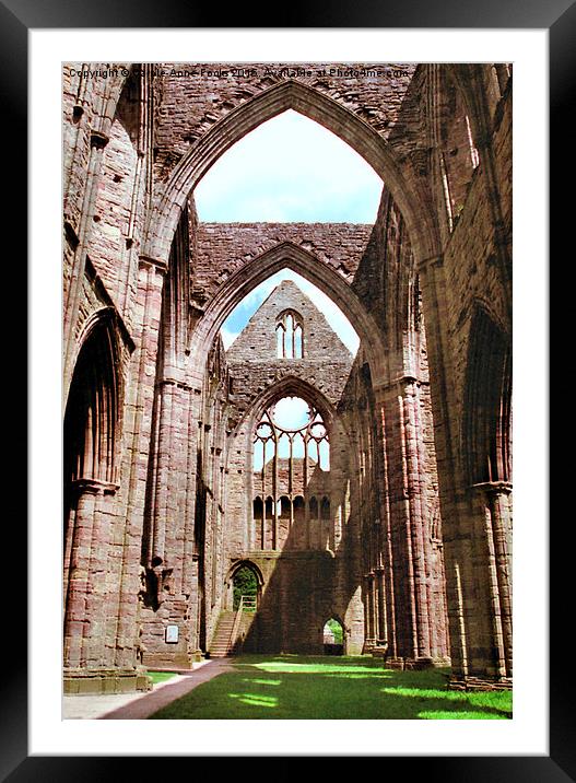  Tintern Abbey Framed Mounted Print by Carole-Anne Fooks
