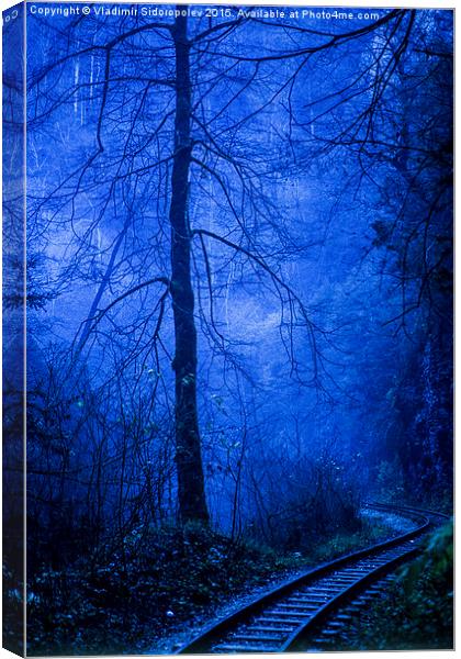  In the dark blue forest Canvas Print by Vladimir Sidoropolev