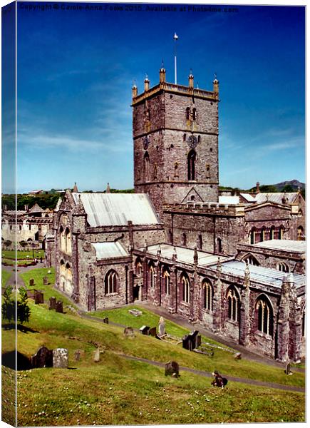  St David's Cathedral. Pembrokeshire, Wales Canvas Print by Carole-Anne Fooks
