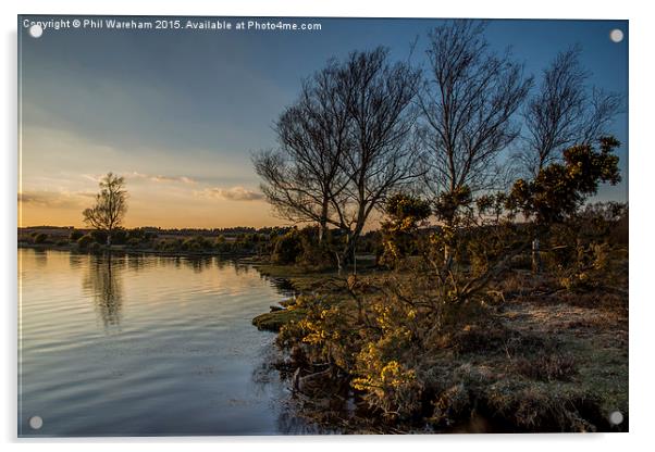  Whitten Pond Sunset Acrylic by Phil Wareham