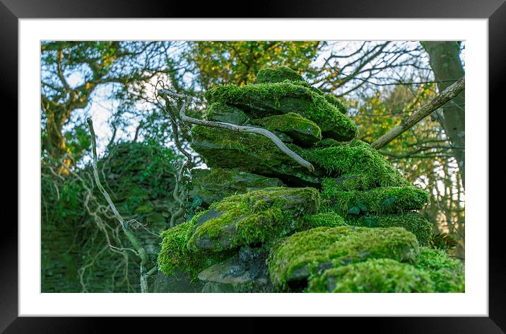  wall with moss Framed Mounted Print by Marina Otto