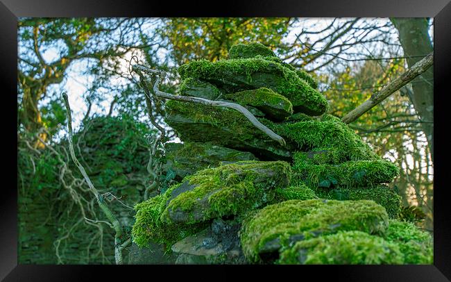  wall with moss Framed Print by Marina Otto