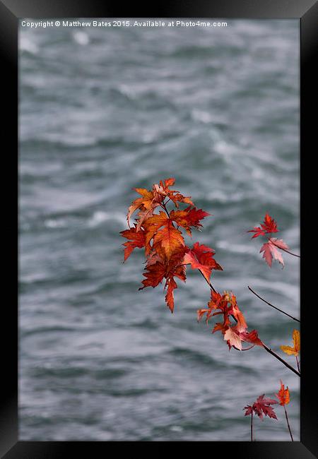 Autumn Leaves Framed Print by Matthew Bates