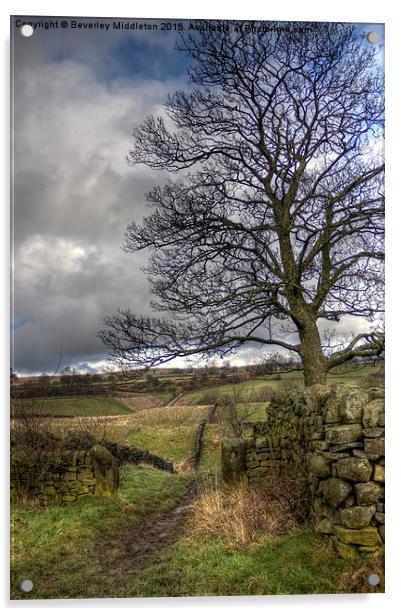  Footpath near Eldwick Acrylic by Beverley Middleton