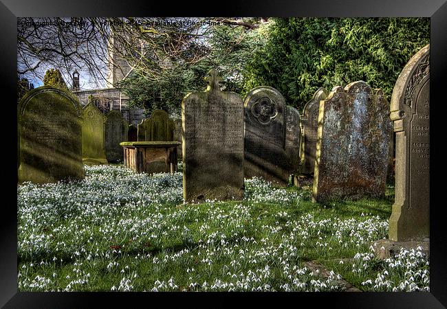  Churchyard at Hampsthwaite Framed Print by Beverley Middleton