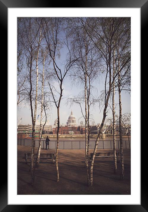  St.Pauls Cathedral Framed by Silver Birch Framed Mounted Print by Adam Payne