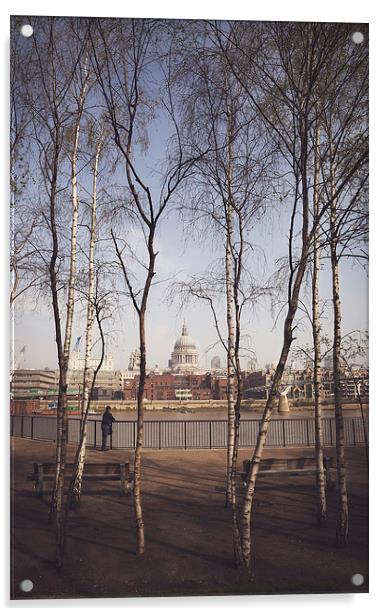 St.Pauls Cathedral Framed by Silver Birch Acrylic by Adam Payne