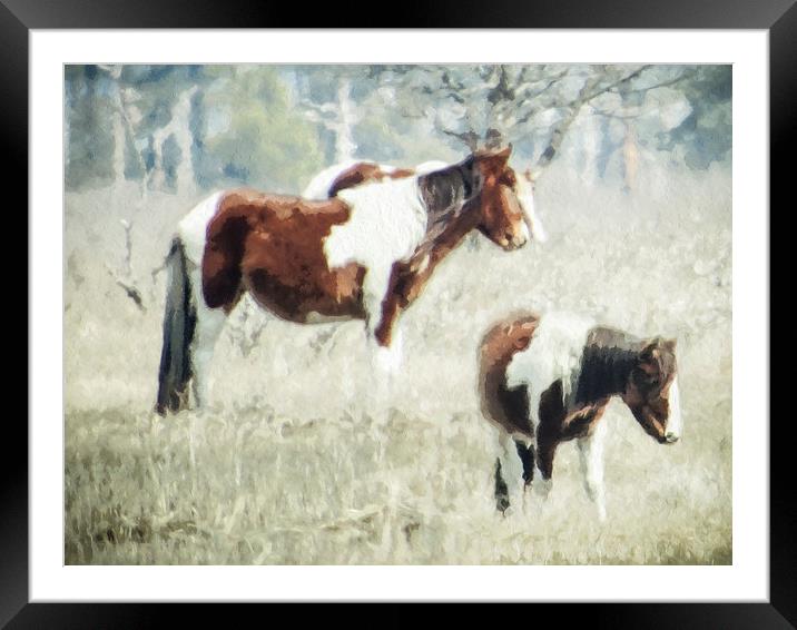  Wild Ponies Framed Mounted Print by Tom and Dawn Gari