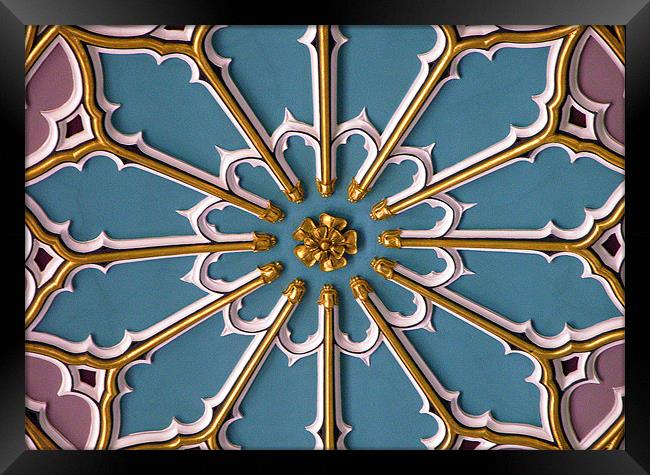CEILING PANEL AT CHELMSFORD, ESSEX CATHEDERAL. Framed Print by Ray Bacon LRPS CPAGB