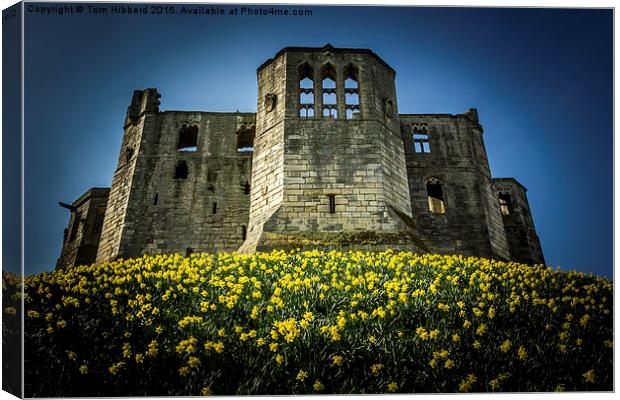  Spring at Warkworth Castle, Northumberland Canvas Print by Tom Hibberd