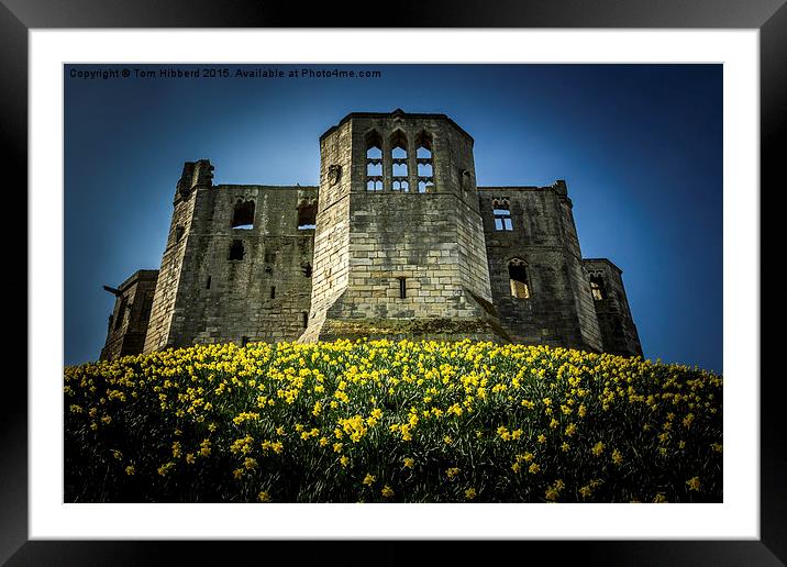  Spring at Warkworth Castle, Northumberland Framed Mounted Print by Tom Hibberd