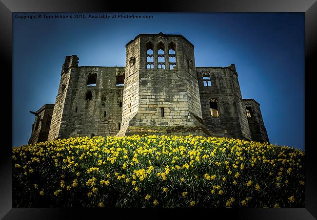  Spring at Warkworth Castle, Northumberland Framed Print by Tom Hibberd