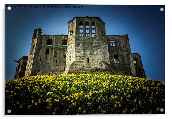  Spring at Warkworth Castle, Northumberland Acrylic by Tom Hibberd