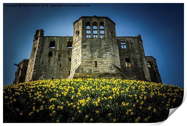  Spring at Warkworth Castle, Northumberland Print by Tom Hibberd