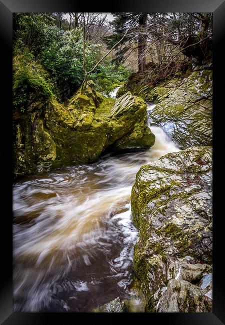  Tollymore Forest, Mournes, Northerm Ireland Game  Framed Print by Chris Curry