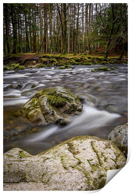 Shimna River Tollymore Forrest - Ireland Print by Chris Curry