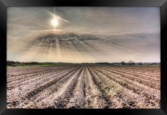 Angel Light Farm Framed Print by David Pyatt