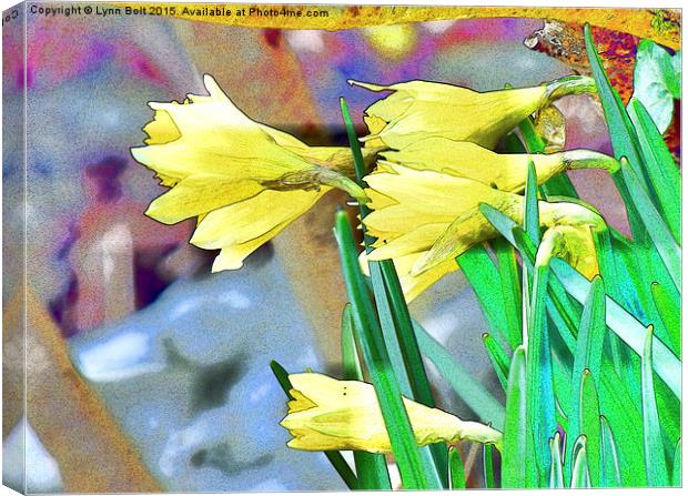  Daffodils Canvas Print by Lynn Bolt