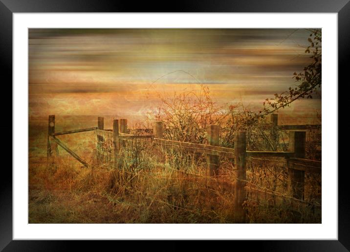  Autumn Mist. Framed Mounted Print by Heather Goodwin