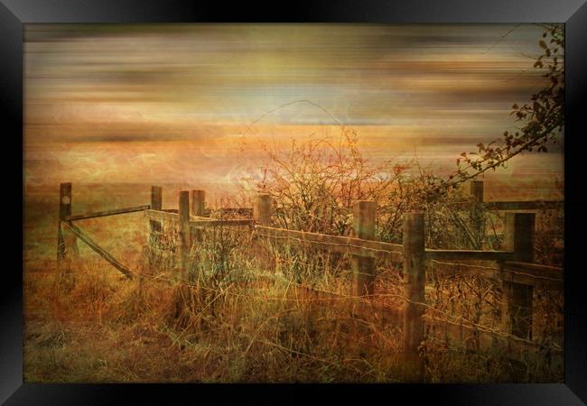  Autumn Mist. Framed Print by Heather Goodwin