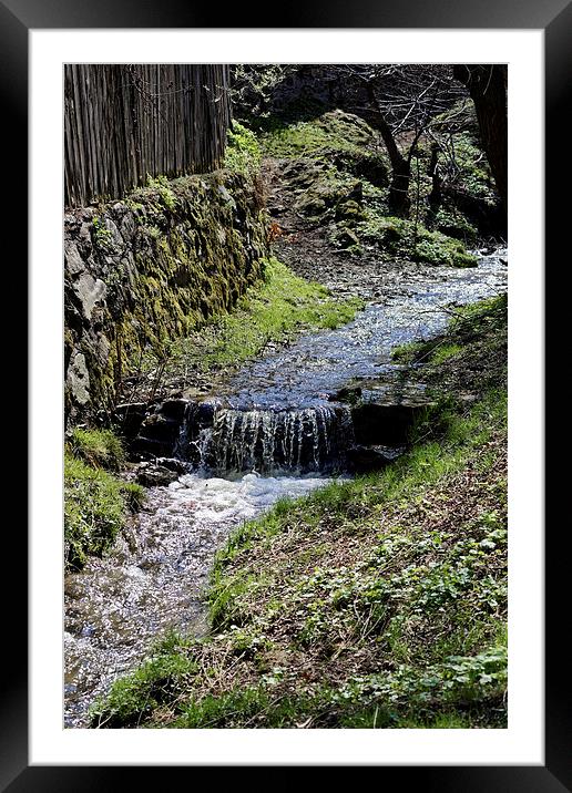 Small creek along the fence in Sibiel Romania Framed Mounted Print by Adrian Bud