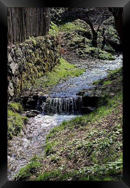 Small creek along the fence in Sibiel Romania Framed Print by Adrian Bud