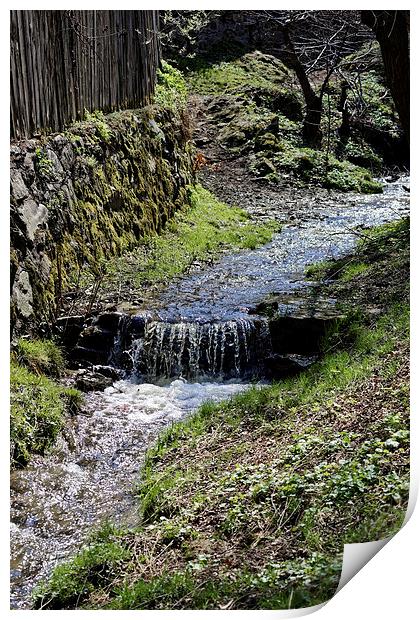 Small creek along the fence in Sibiel Romania Print by Adrian Bud