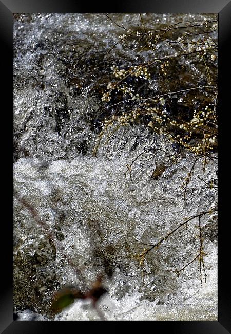 Sibiel creek blossom springtime near Sibiu Romania Framed Print by Adrian Bud