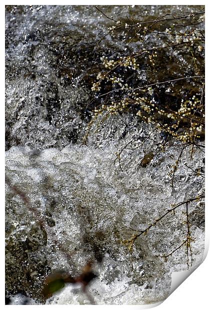 Sibiel creek blossom springtime near Sibiu Romania Print by Adrian Bud