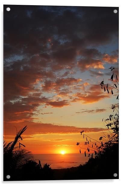 Glorious Sunset Acrylic by james balzano, jr.
