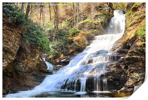 Dingmans Falls Print by Paul Fell